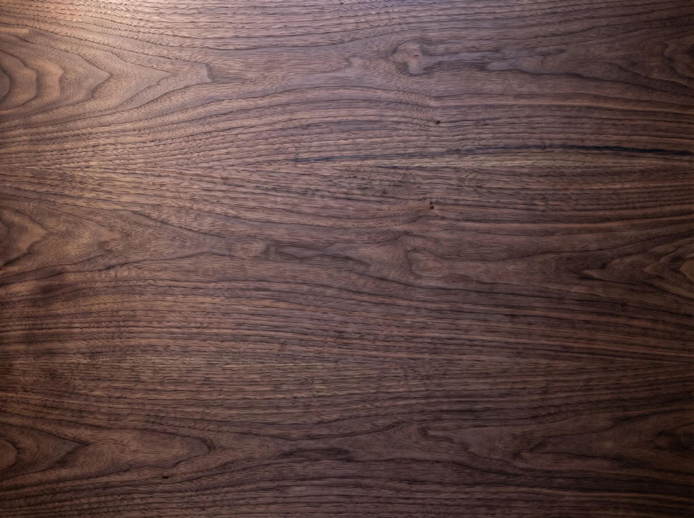 American Black Walnut